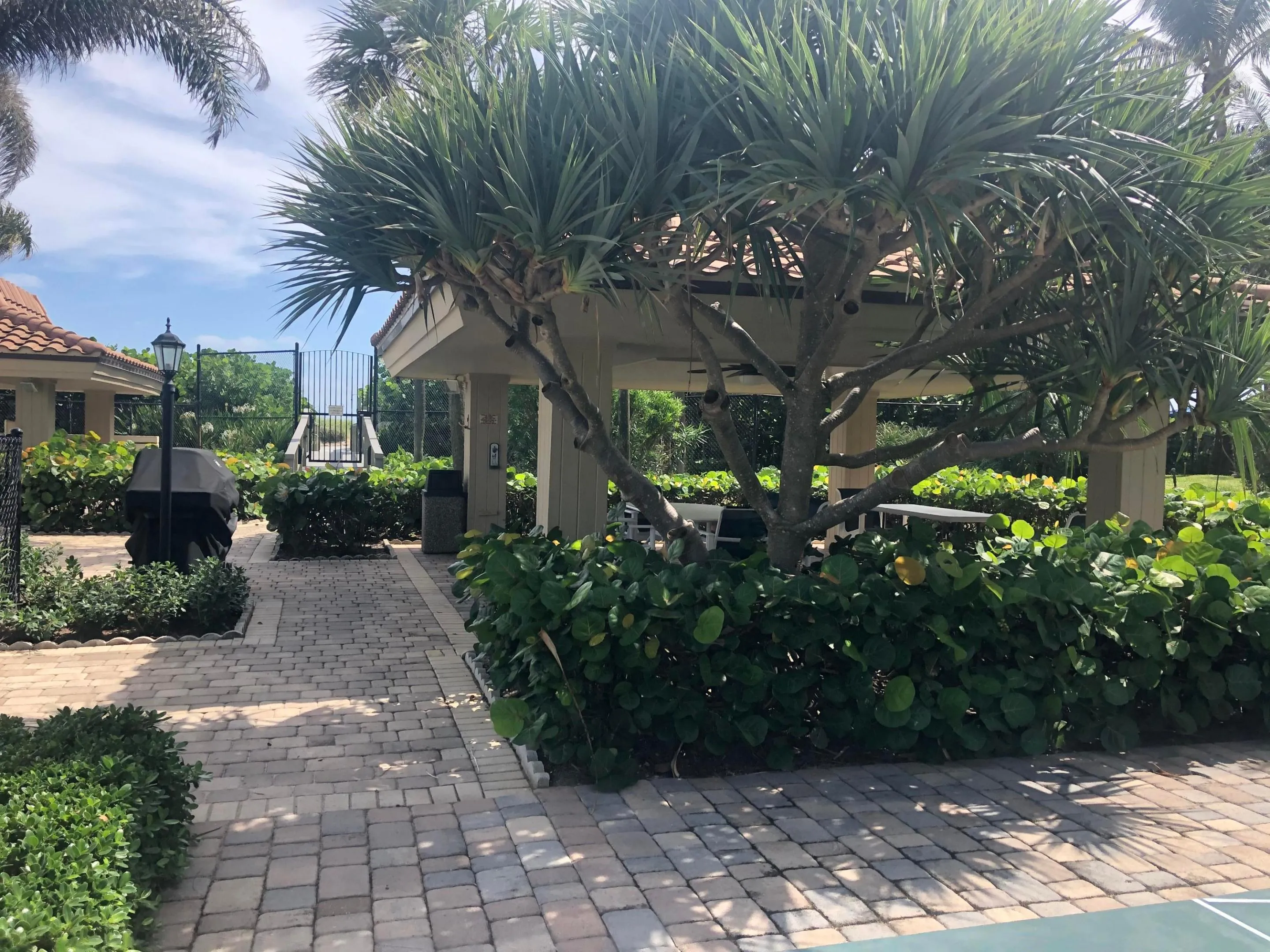 Oceantree Picnic Gazebo