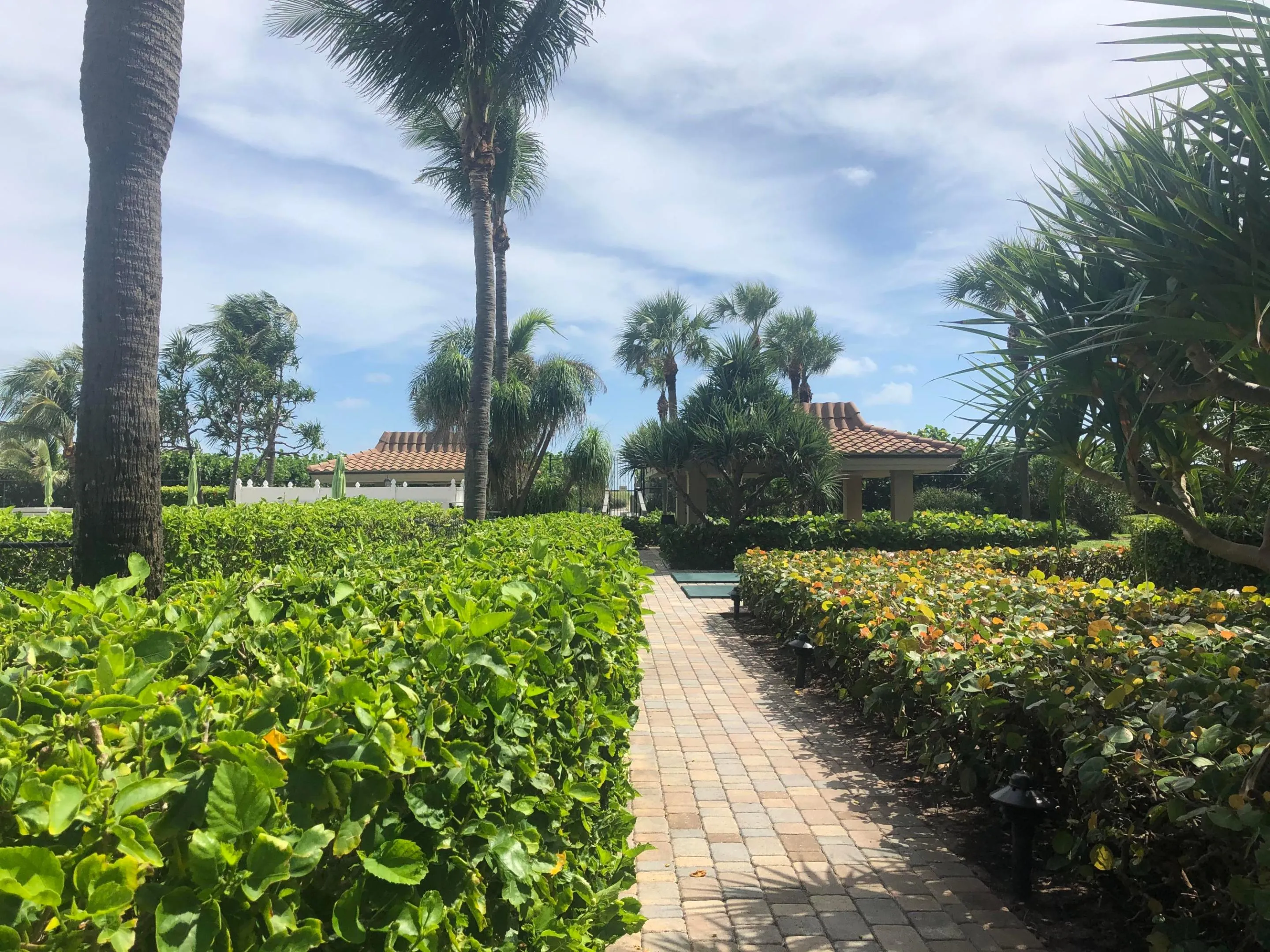 Oceantree Grounds