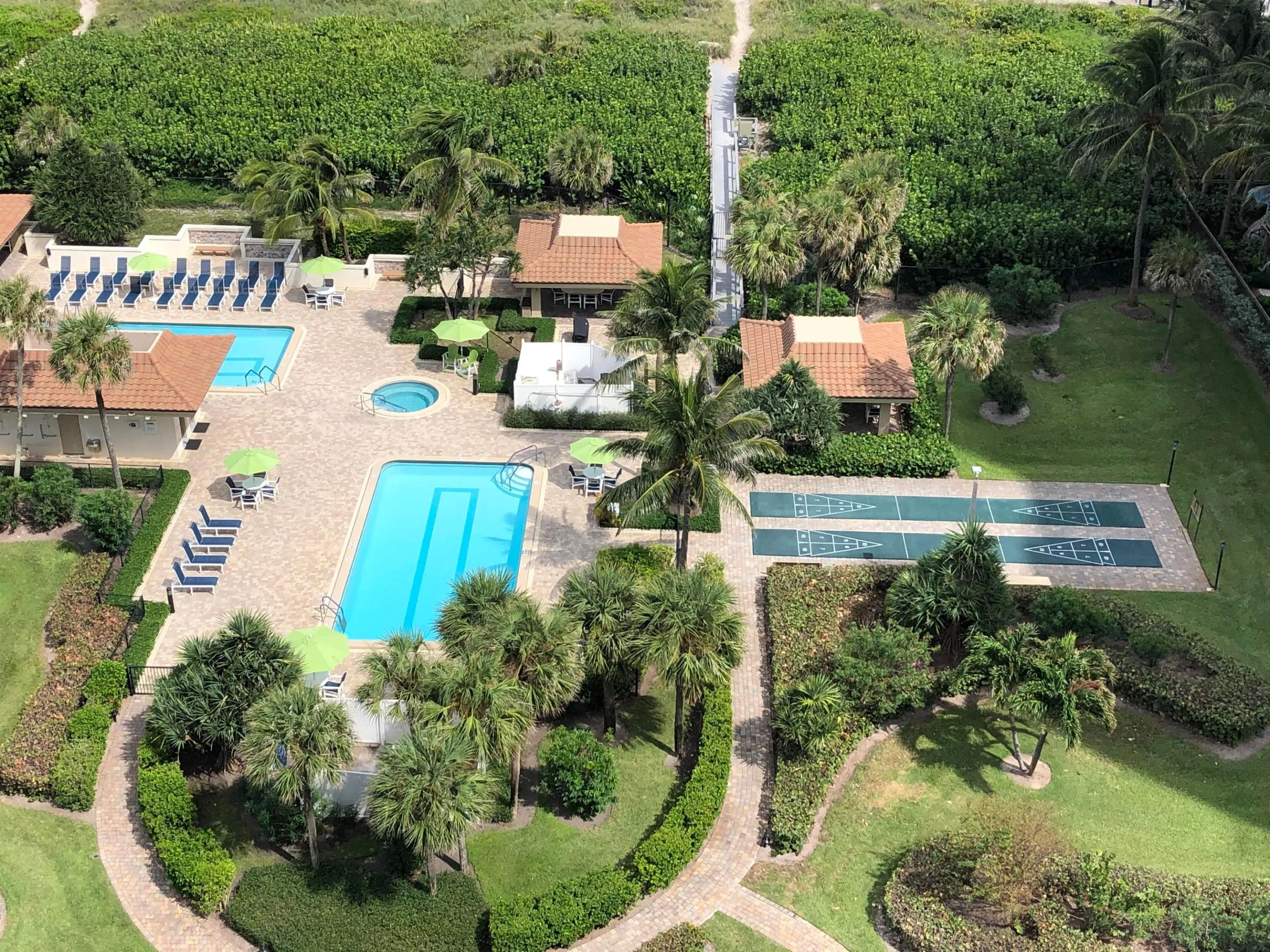 Oceantree Pool
