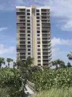 Oceantree