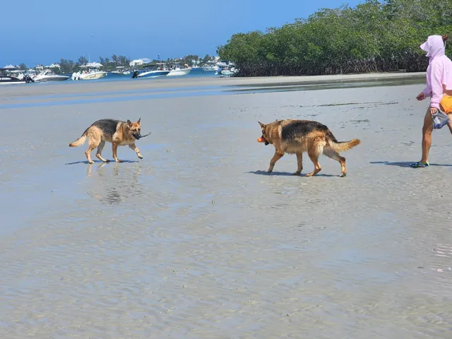 Sandbar Saturdays are a Martin County tradition.