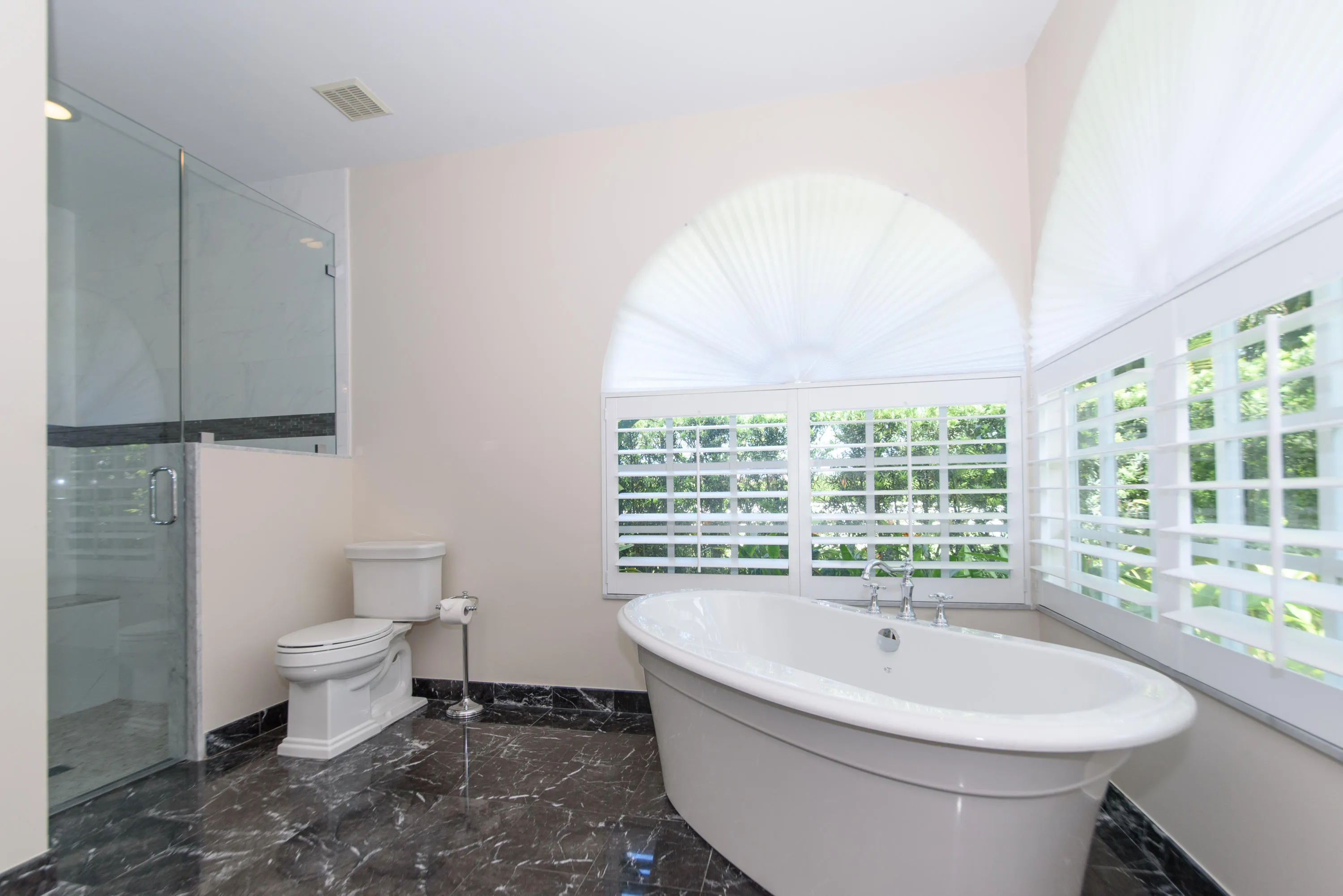 Master tub and shower