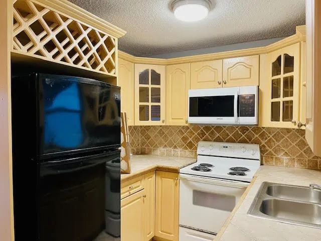 4491- Pic 2