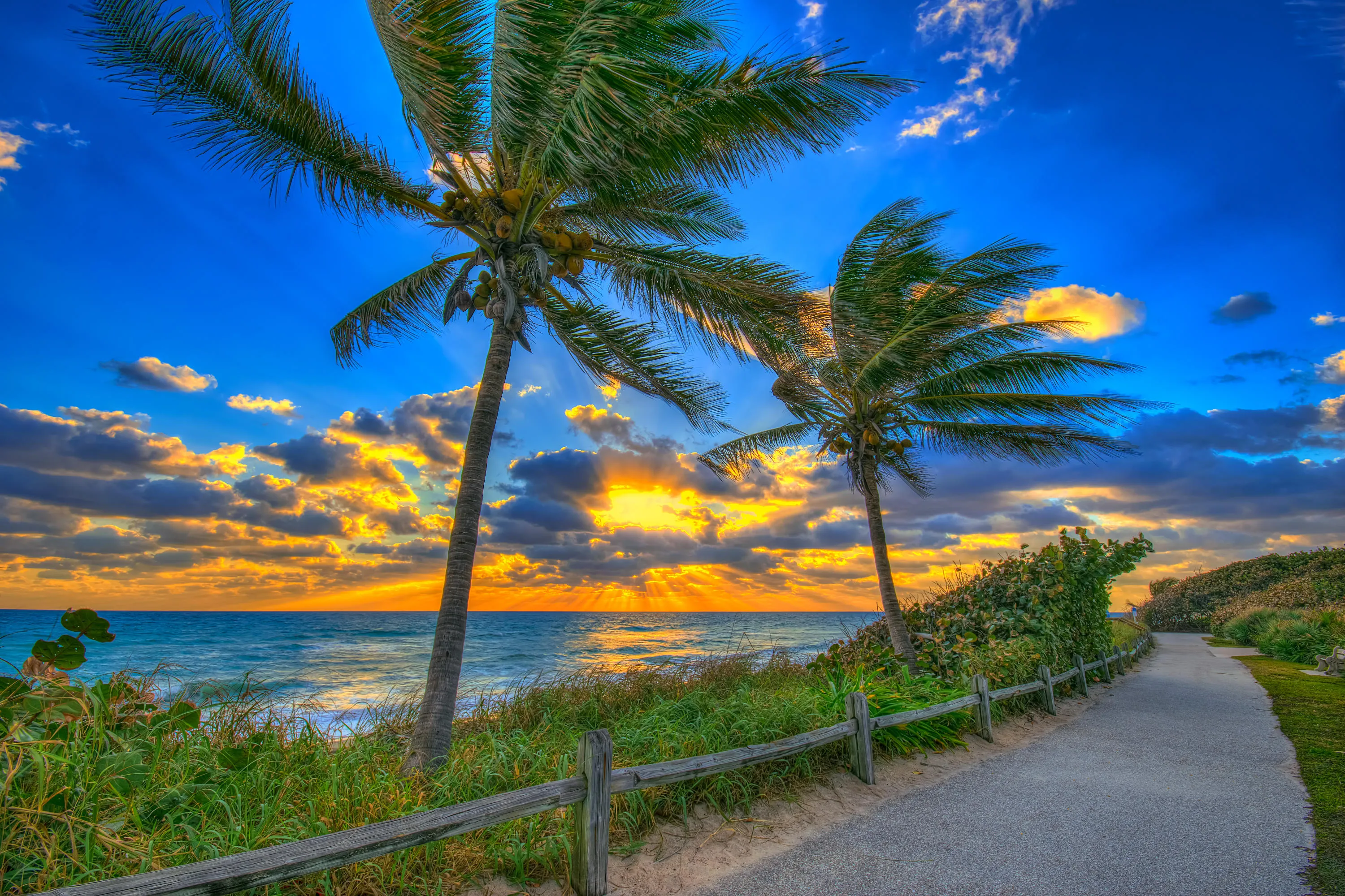 x268x-Coconut-Tree-Sunrise-at-the-Beach-