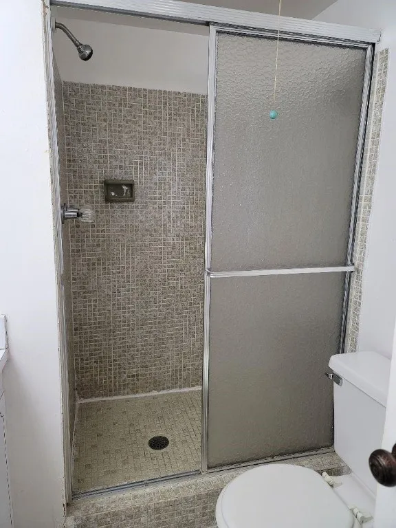 Shower in first Bathroom