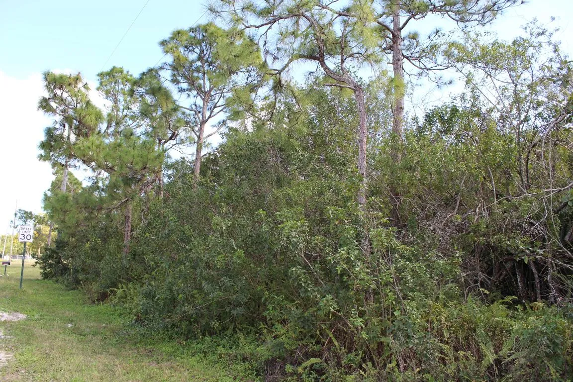 Property photo 12