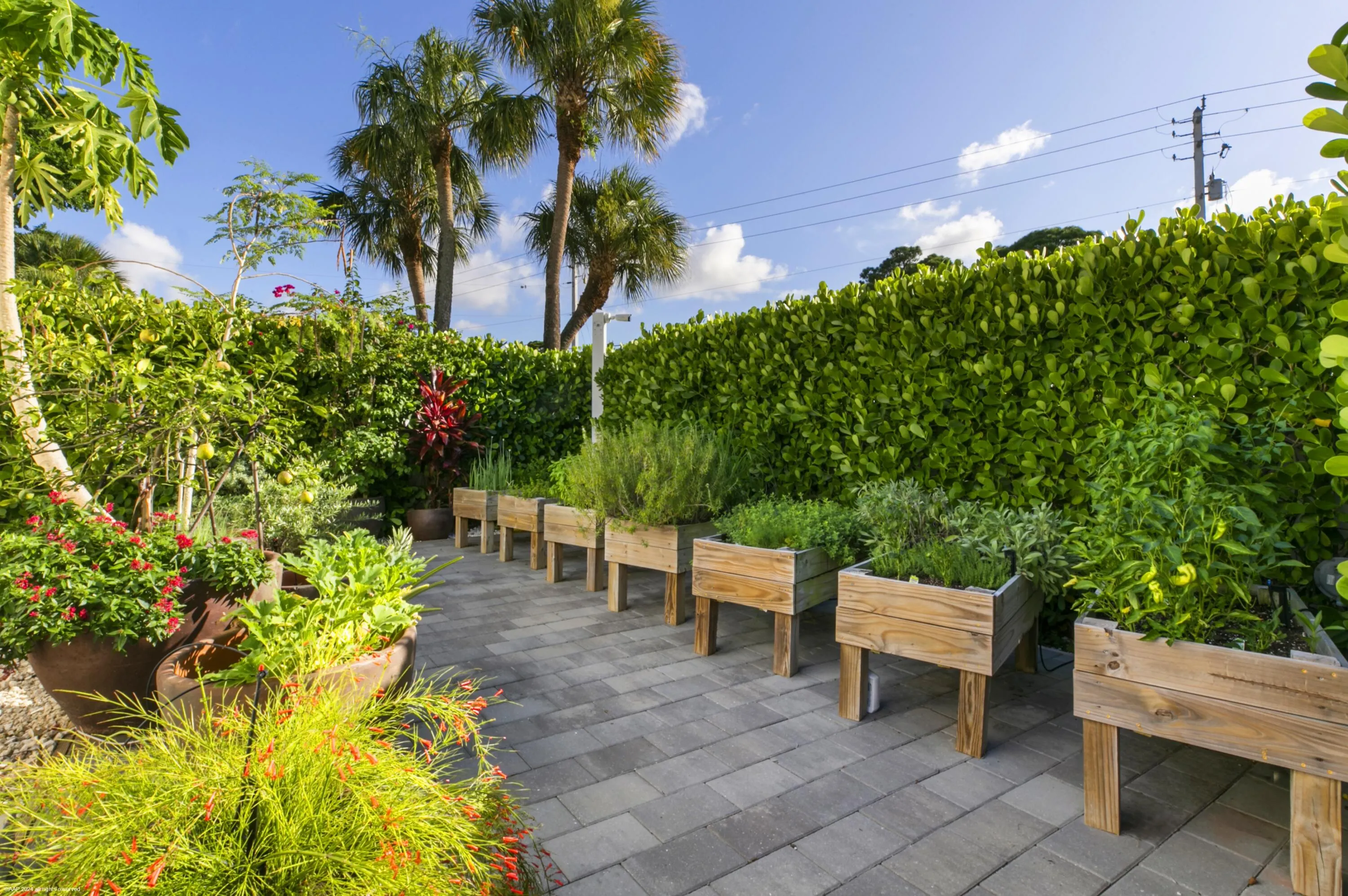 Herb garden