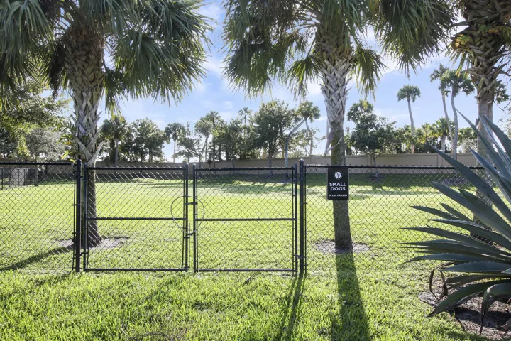 Dog Park II