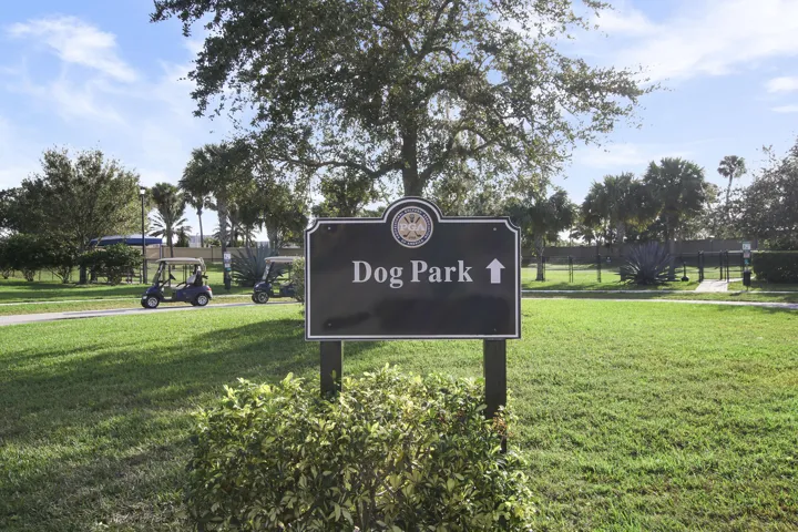 Dog Park