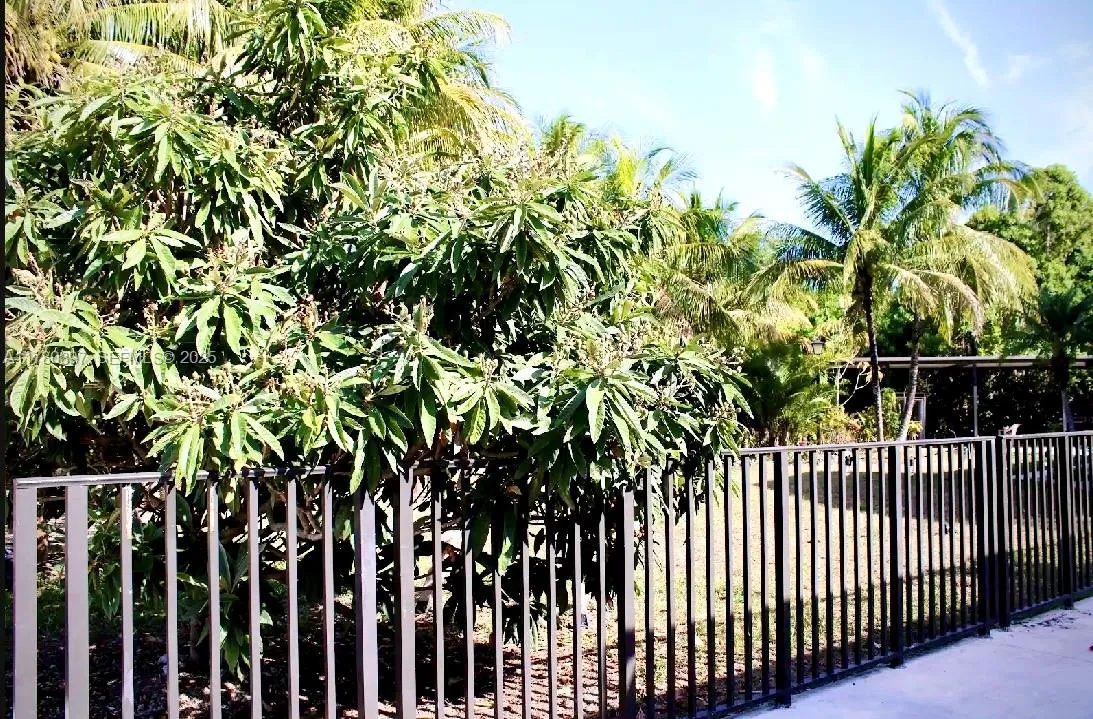 Property photo 52