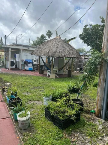 BACK YARD2