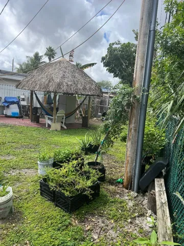 BACK YARD1