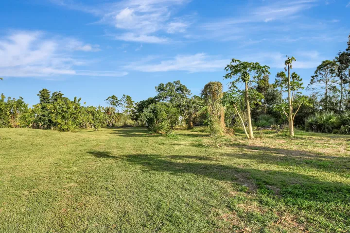 LAND AND FRUIT TREES