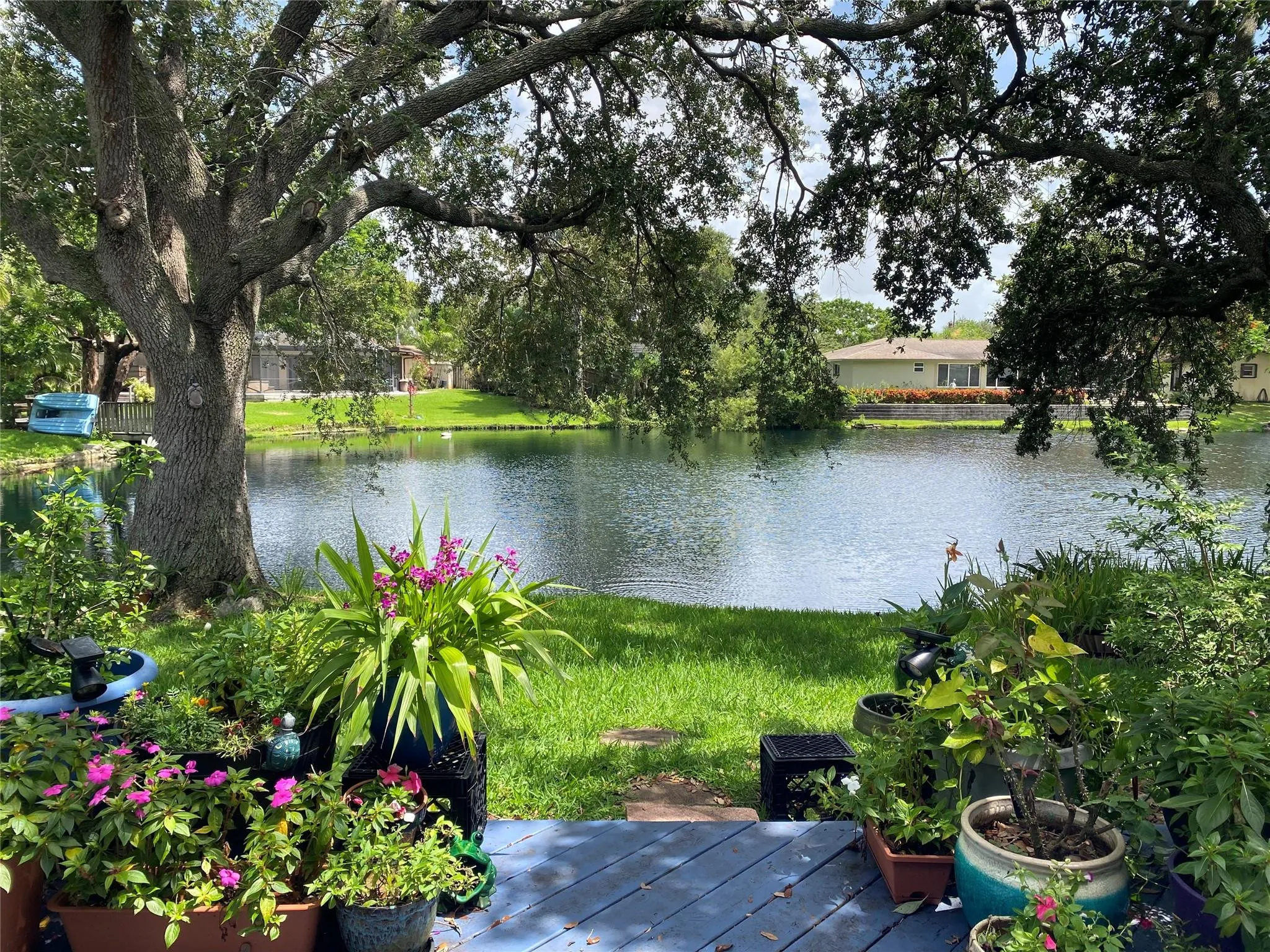 Serene Lake views