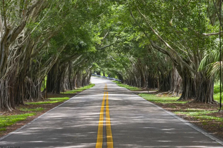 Jupiter Island Bridge Rd 1 AAP 2021