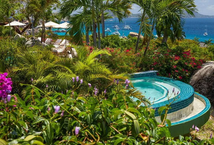 SWIMMING POOL VIGNETTE