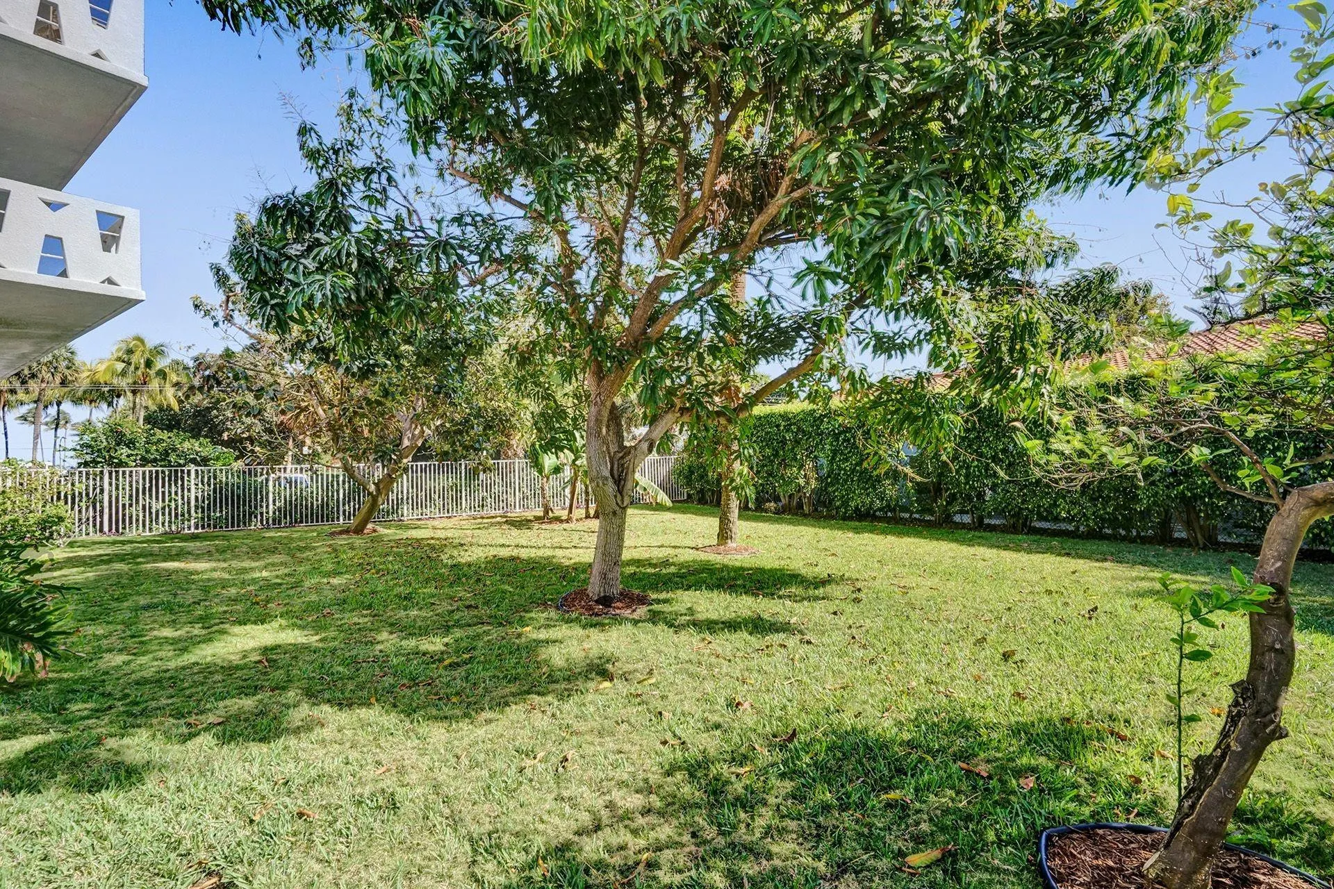 Garden area near pool