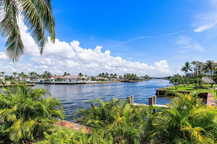 Intracostal View