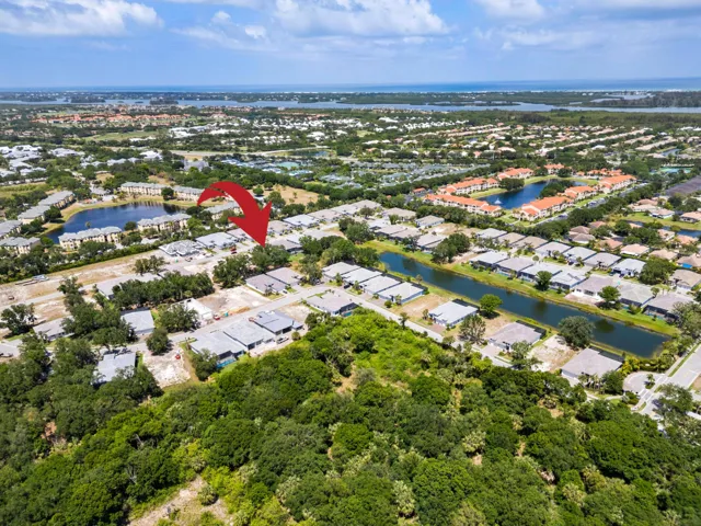 4226 Lucya Point Way - Cypress - Aerial