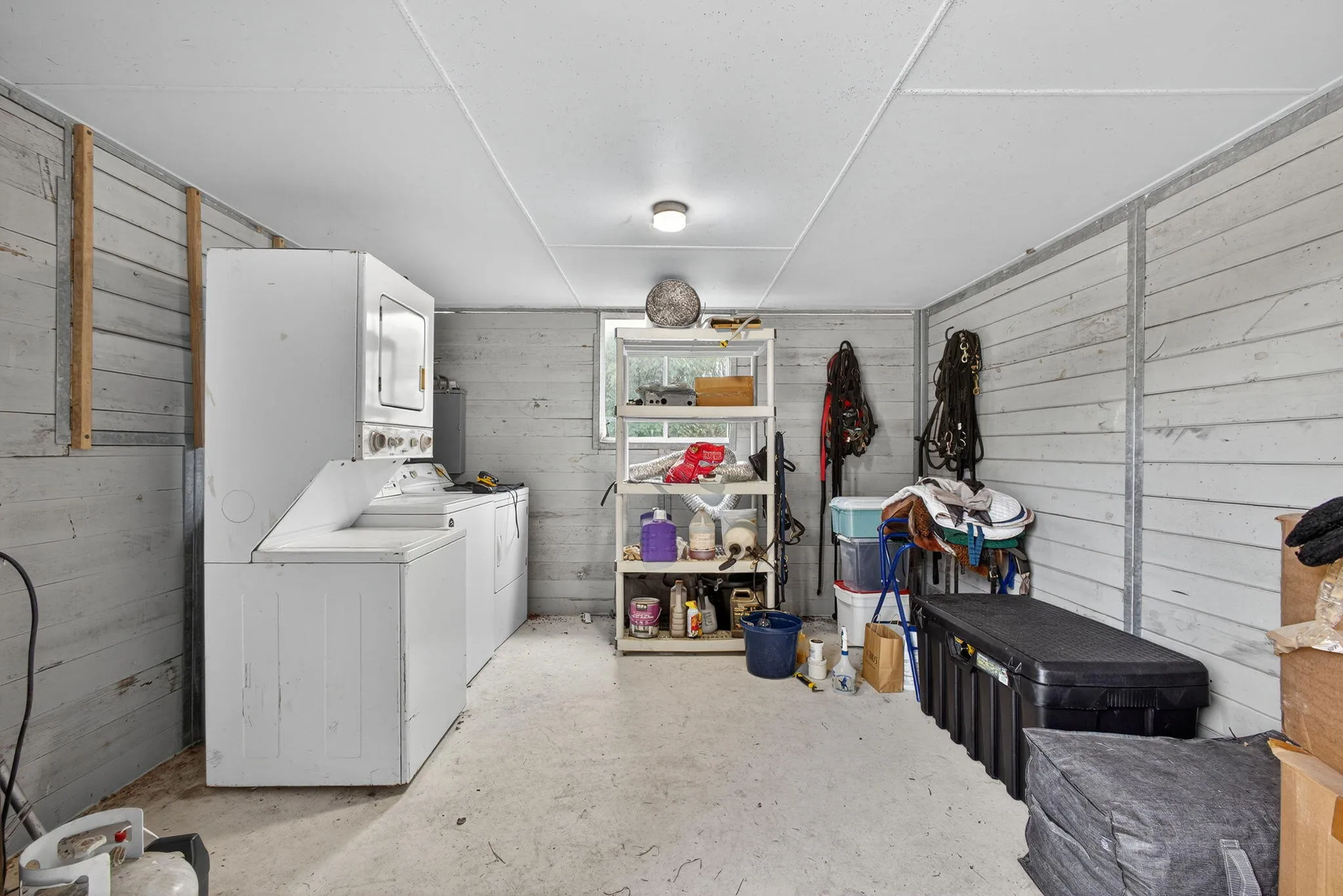 93-web-or-mls-BS1A7834
