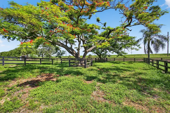 56-web-or-mls-BS1A8259
