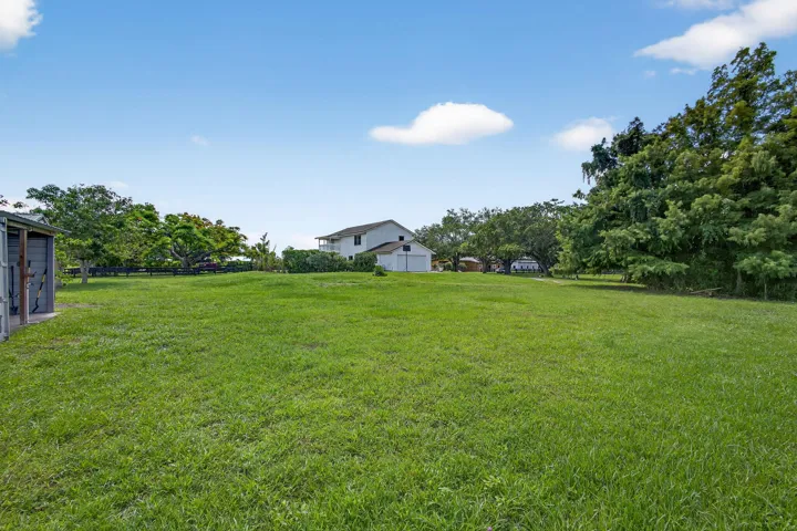 74-web-or-mls-BS1A8354