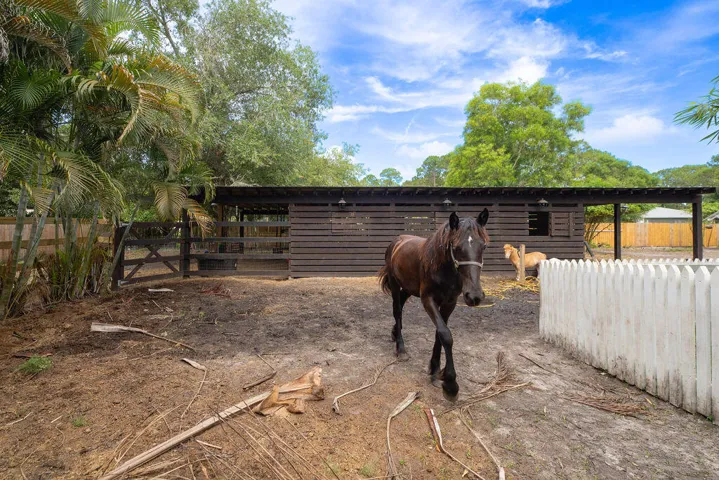Open concept horse stalls - 3 stalls with doors