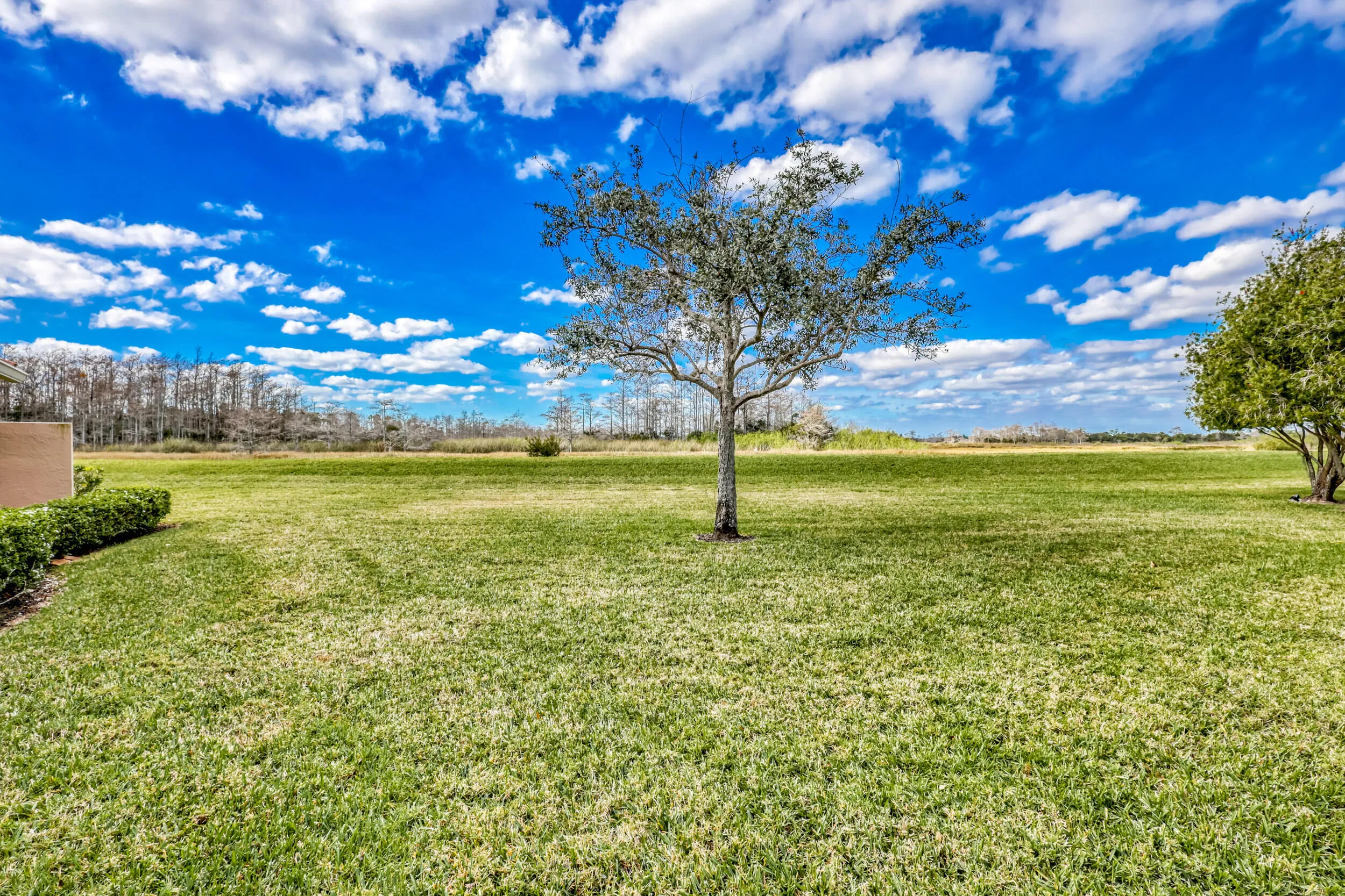 Green Space