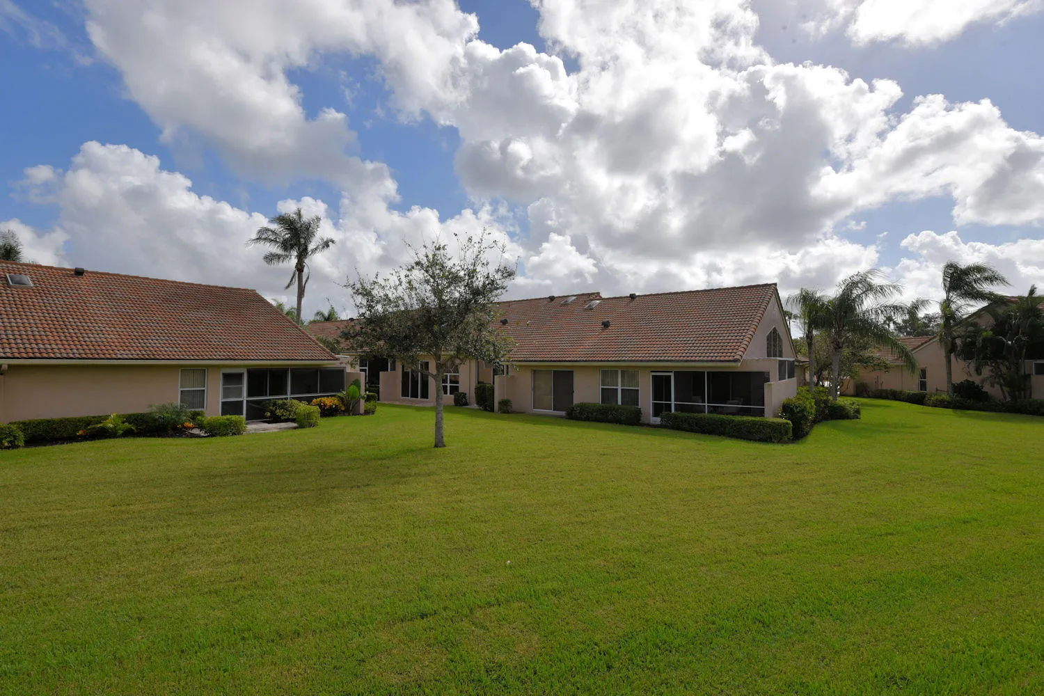 Back Exterior