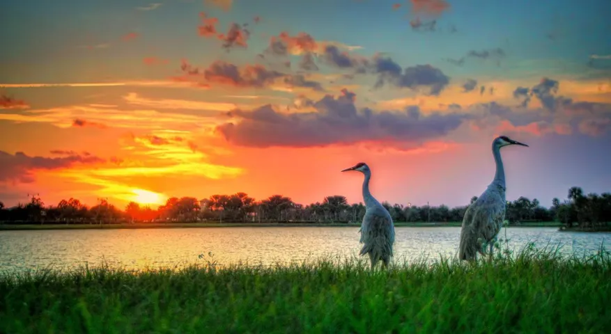 Natural preserves and Wildlife