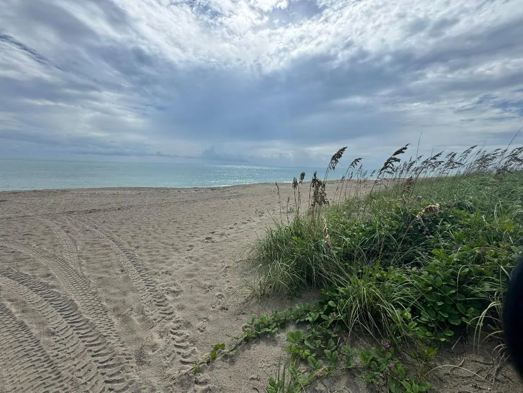Property photo 36