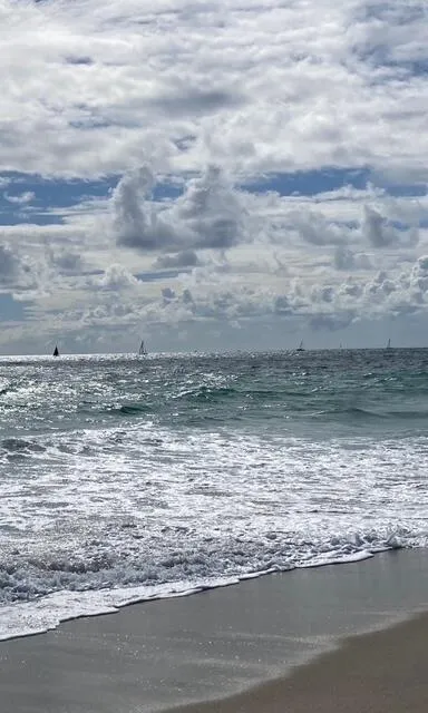 Sailboats on the Ocean