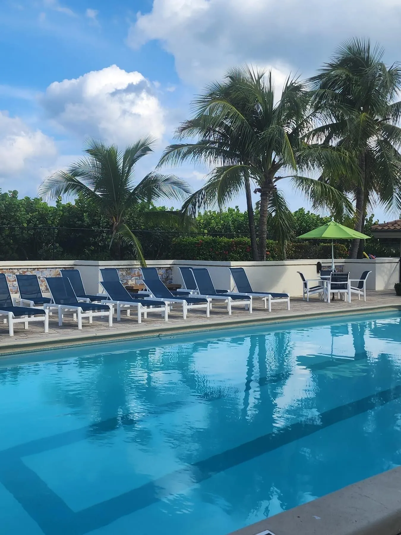 Oceantree Pool