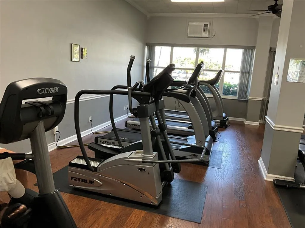 GYM