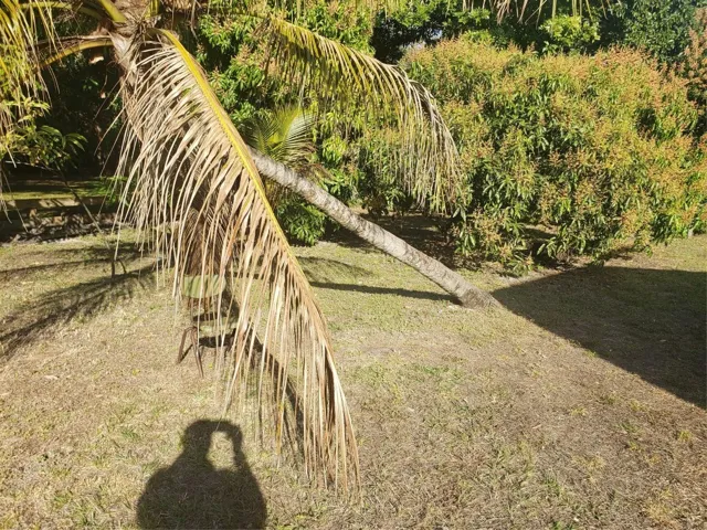 Photo 43