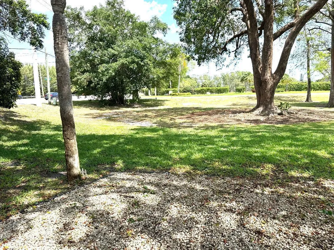 back yard