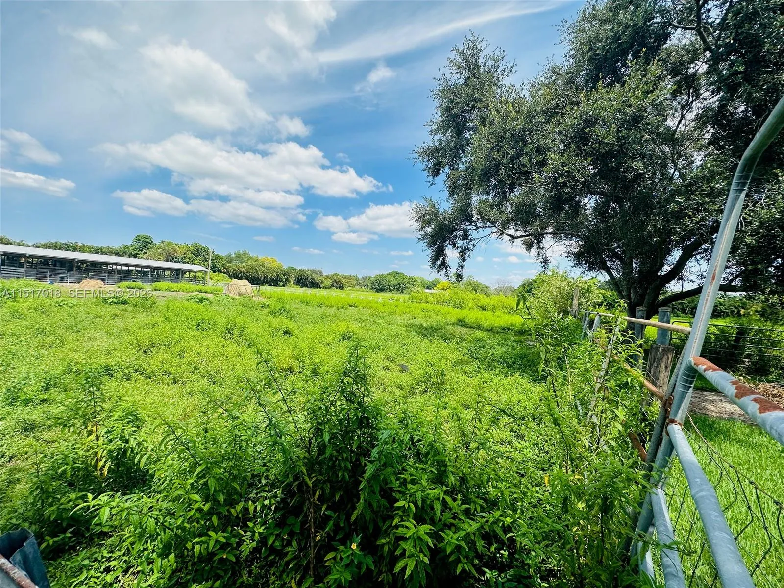 Property photo 79