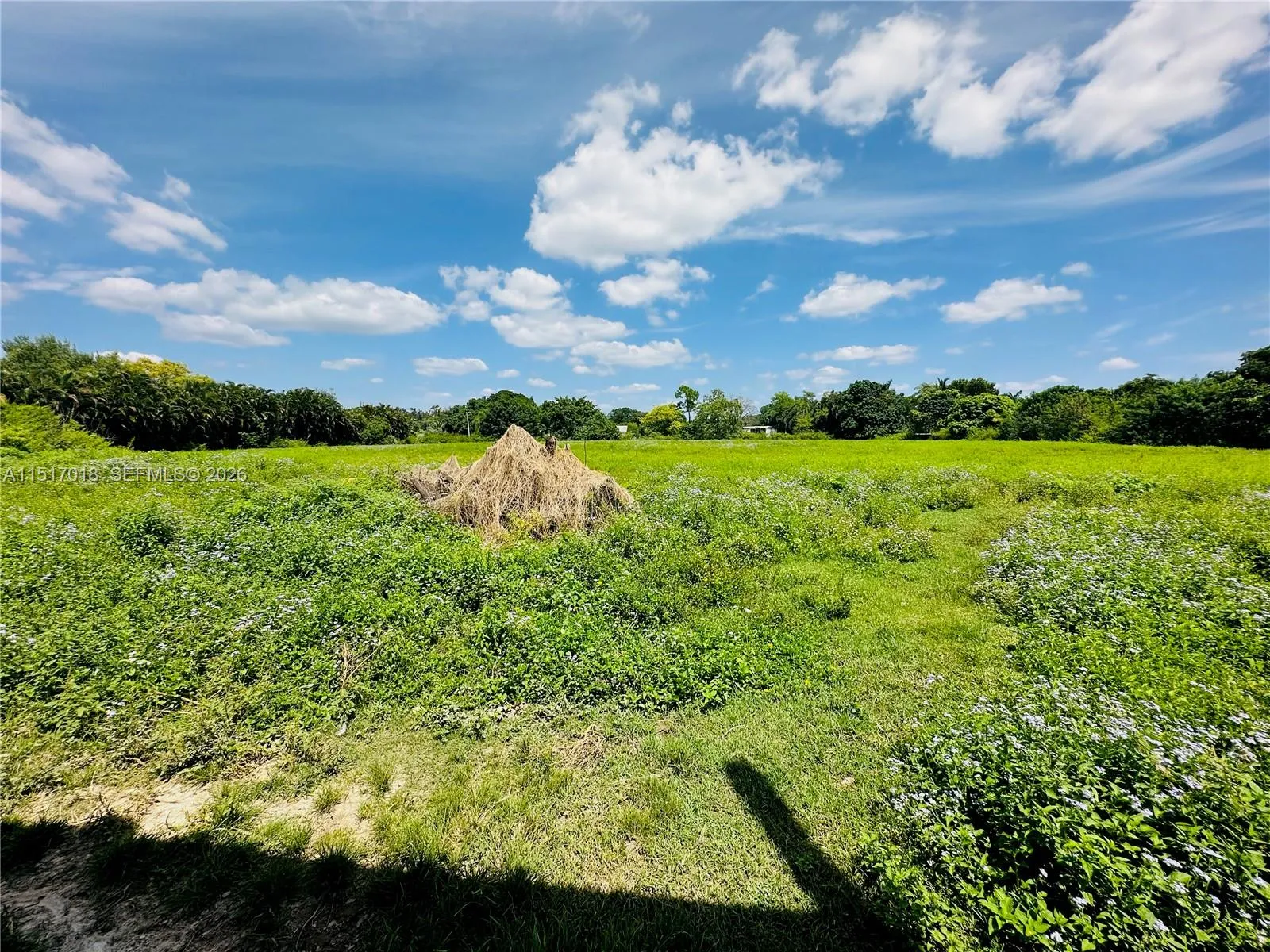 Property photo 92