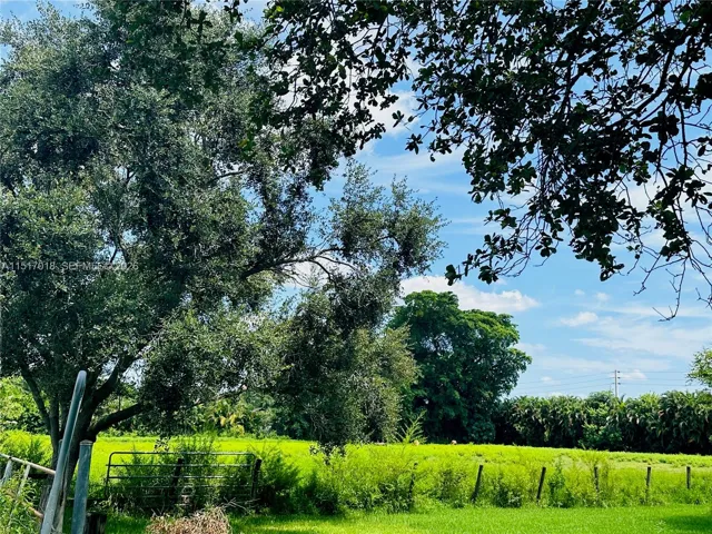 Pasture
