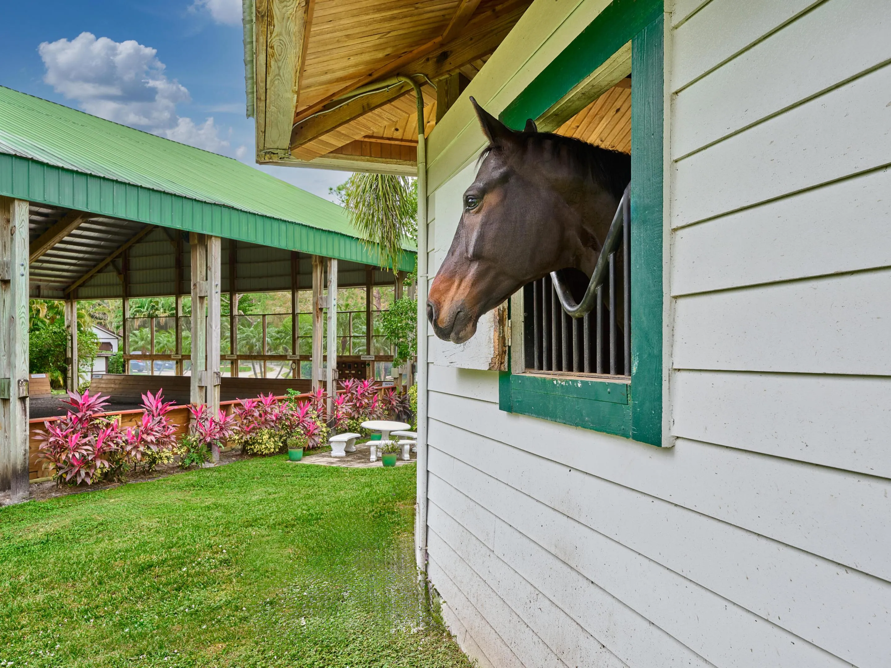 What trip past a stable would be complete without one of the many horses greeting you.