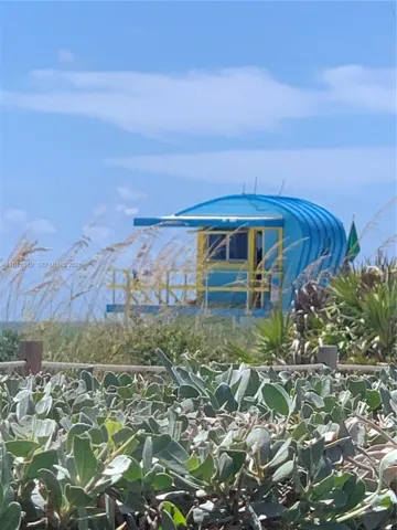 Beach area