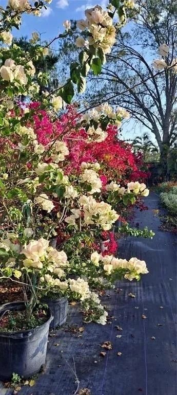 Property photo 58