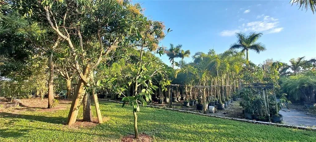 Property photo 59