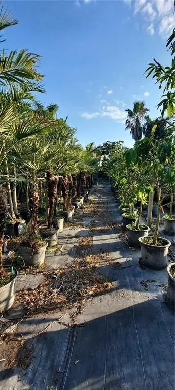 Property photo 61