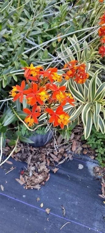 Property photo 72