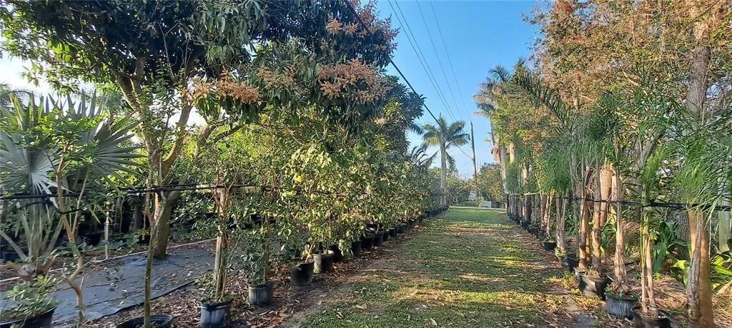 Property photo 48