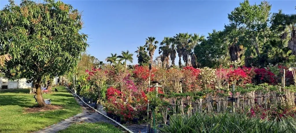 Property photo 81