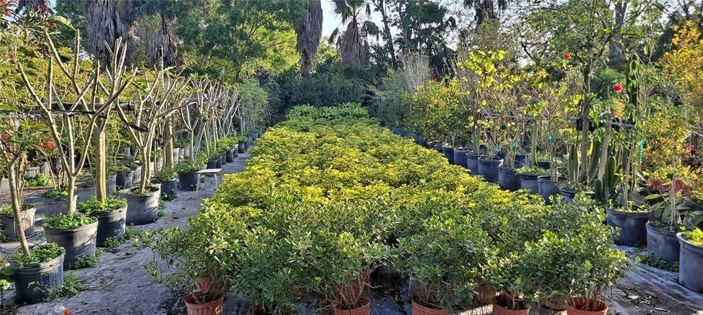 Property photo 68