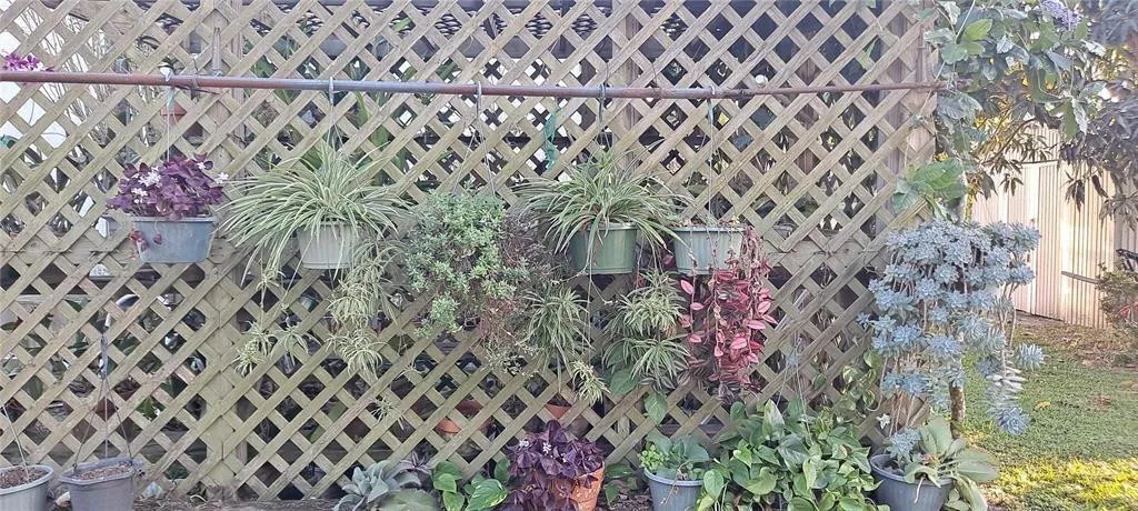Property photo 52
