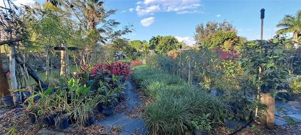 Property photo 79